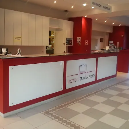 Seminario Aeropuerto Bilbao 3* Derio